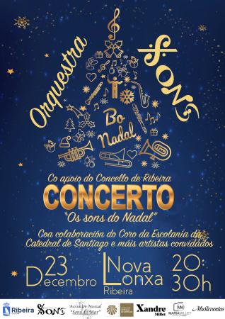 Concerto "Os sons do Nadal", Orquestra Sons